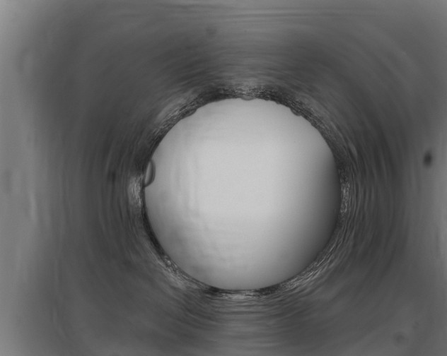 X0000097590286200802290756