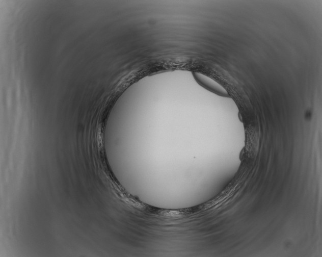 X0000097590287200802290756
