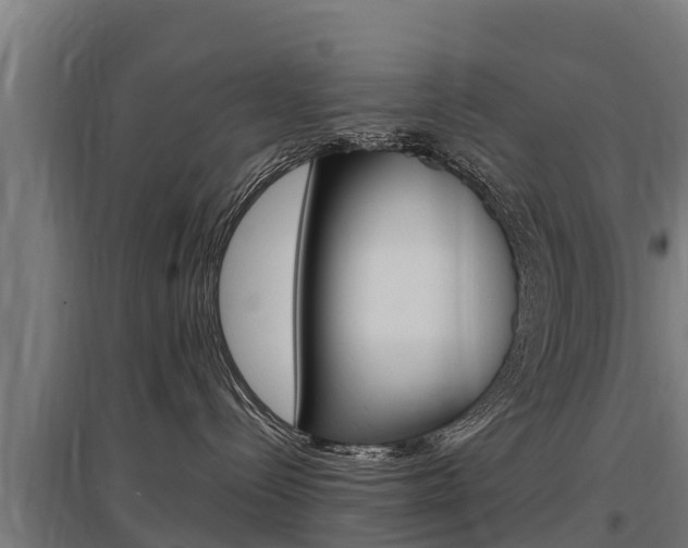 X0000097590288200802290756