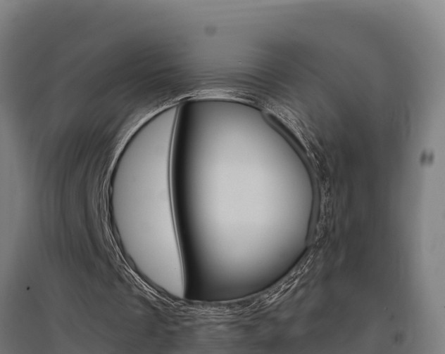 X0000097590289200802290755