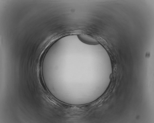 X0000097590290200802290755