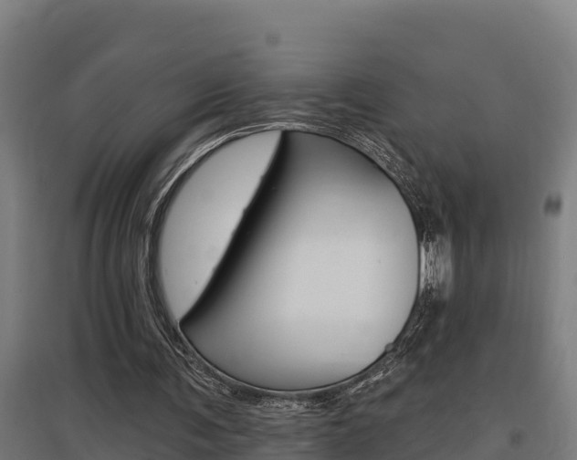 X0000097590291200802290755