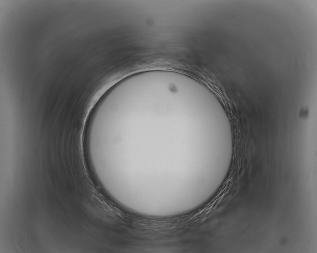 X0000097590292200802290755