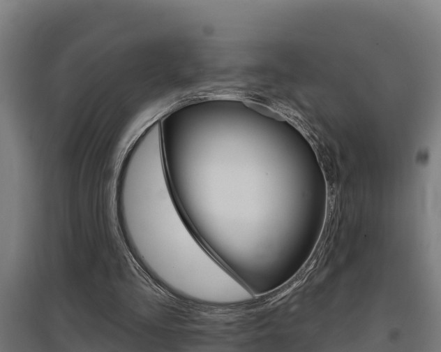 X0000097590293200802290755