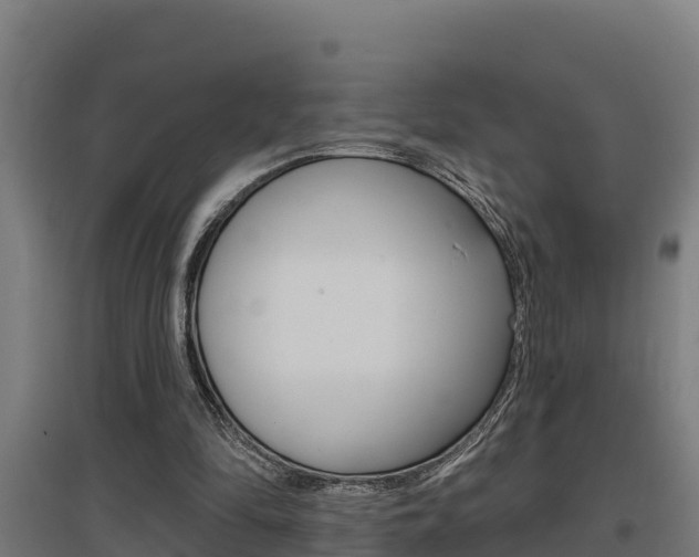 X0000097590294200802290755