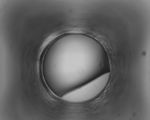 X0000097590296200802290755