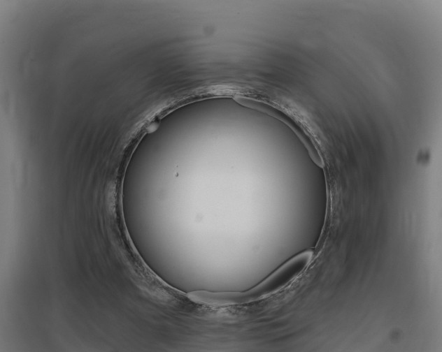 X0000097590297200802290755