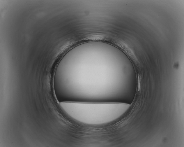 X0000097590300200802290755