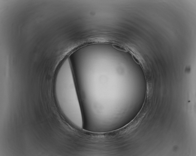 X0000097590301200802290755