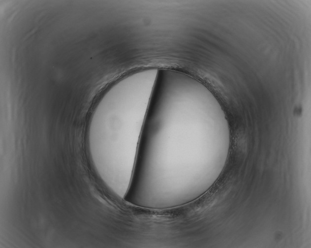 X0000097590303200802290755
