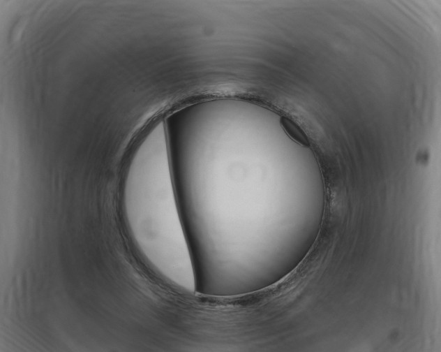 X0000097590304200802290755