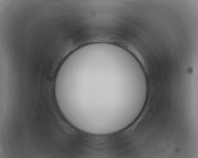 X0000097590305200802290755