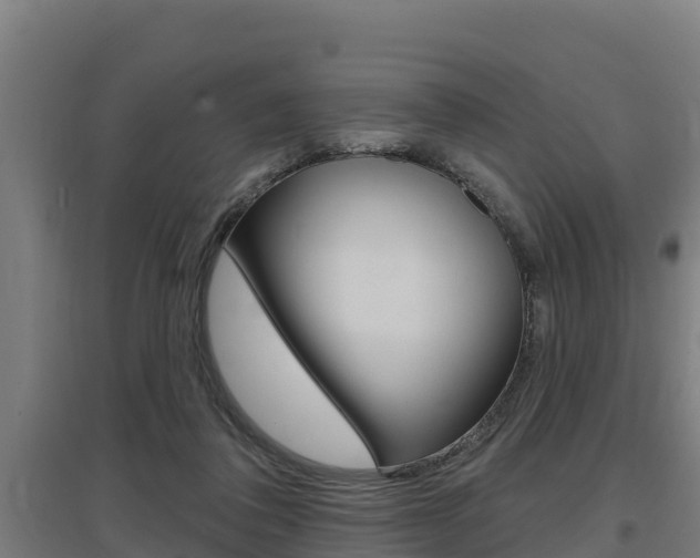 X0000097590308200802290755