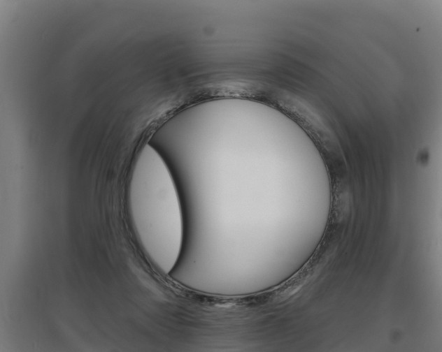 X0000097590310200802290755