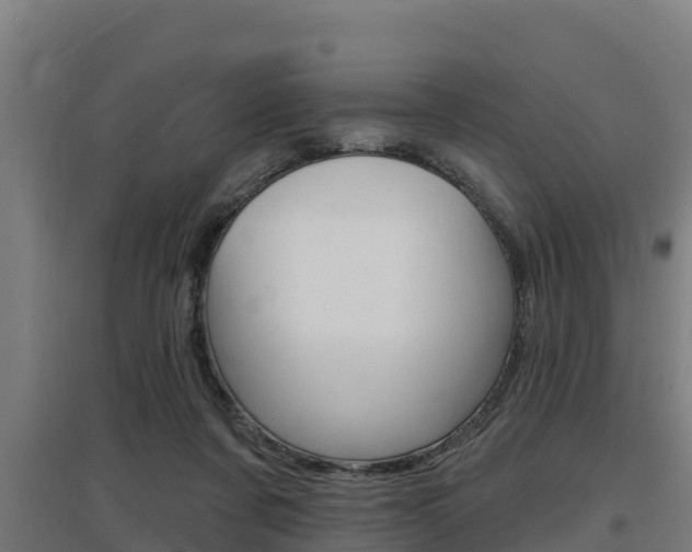 X0000097590311200802290755
