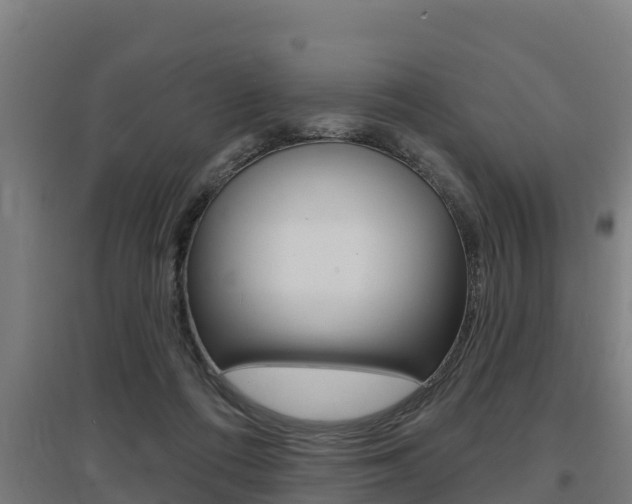 X0000097590312200802290755