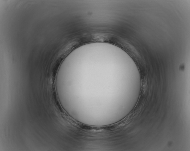 X0000097590314200802290755