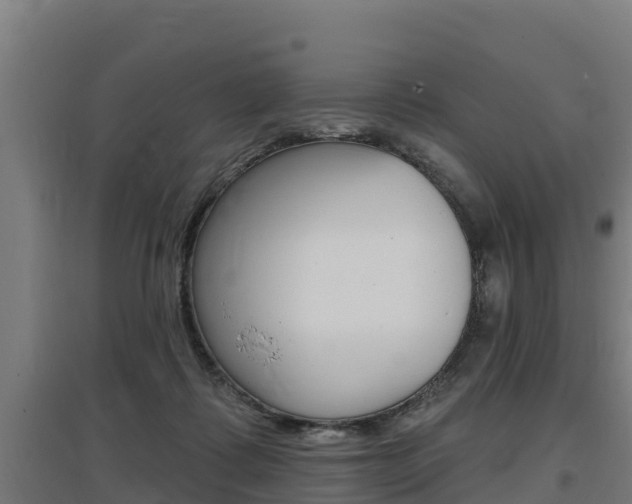 X0000097590315200802290755
