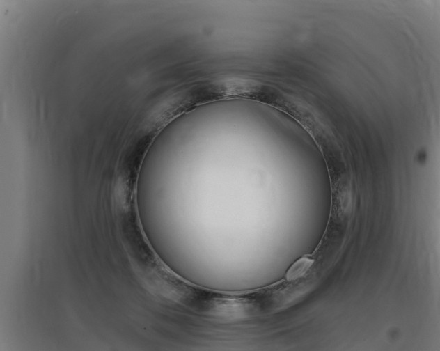 X0000097590316200802290755