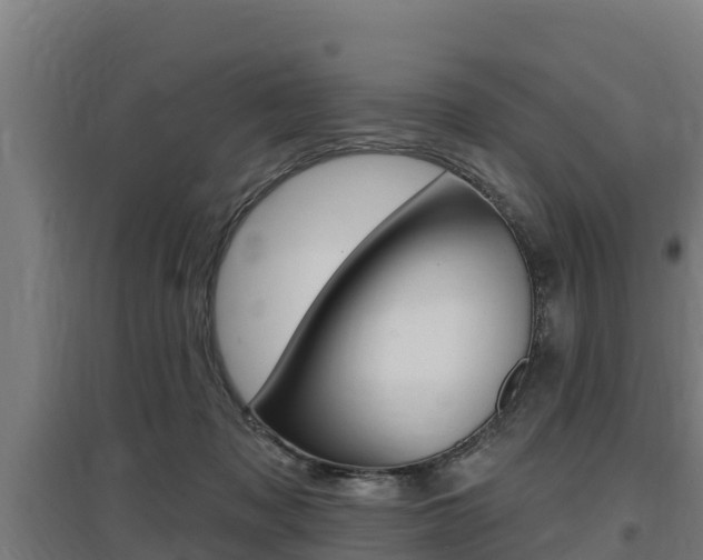 X0000097590317200802290755
