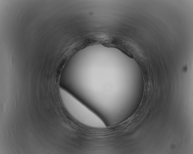 X0000097590320200802290755