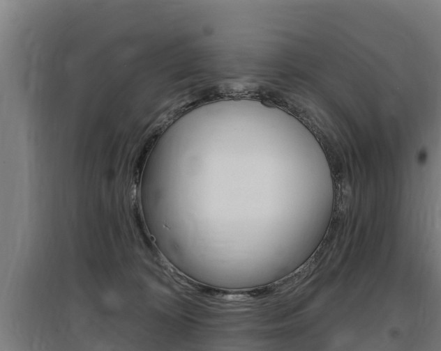 X0000097590324200802290755