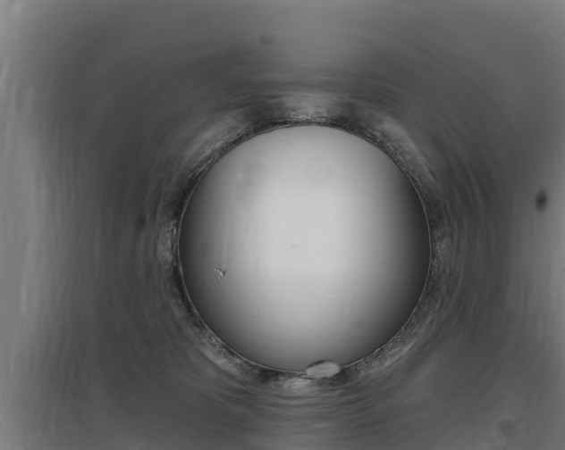 X0000097590325200802290755