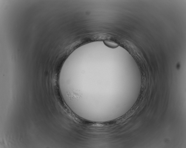 X0000097590326200802290755