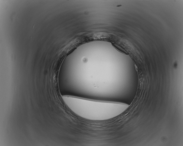 X0000097590327200802290755