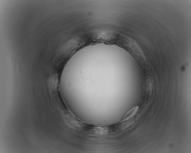 X0000097590328200802290755