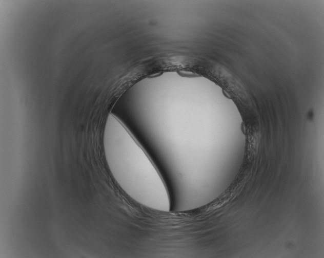X0000097590331200802290755