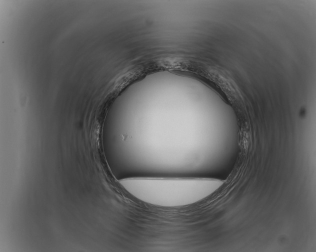 X0000097590332200802290755