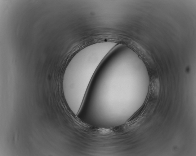 X0000097590333200802290755