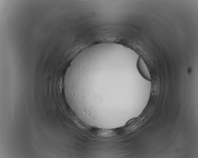 X0000097590334200802290755