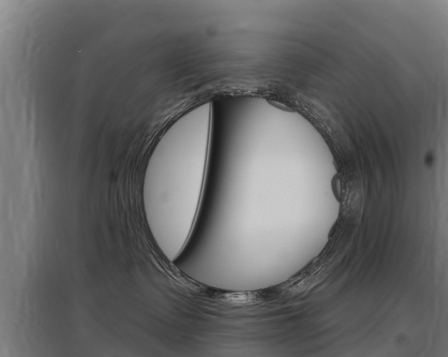 X0000097590335200802290755
