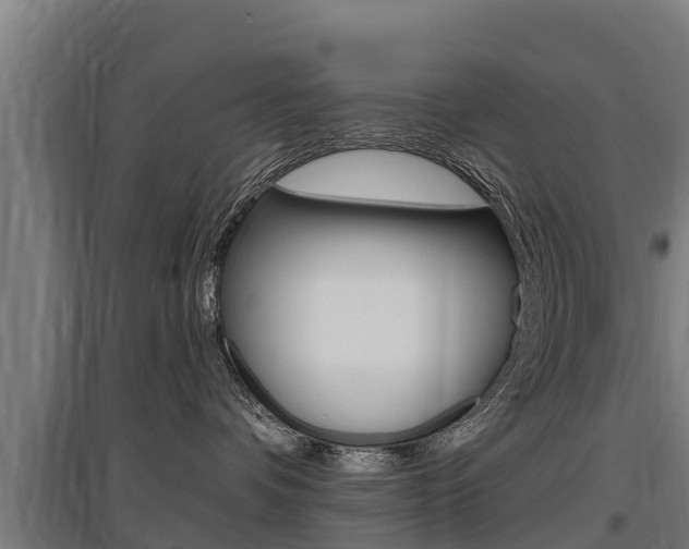 X0000097590336200802290755