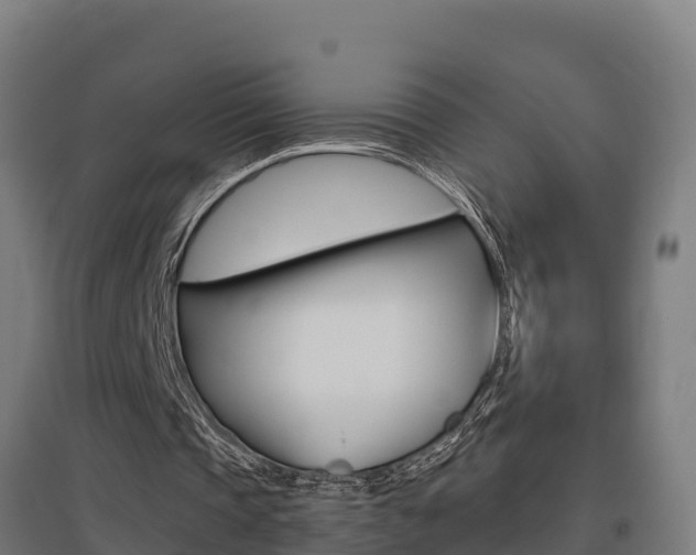 X0000097590337200802290754