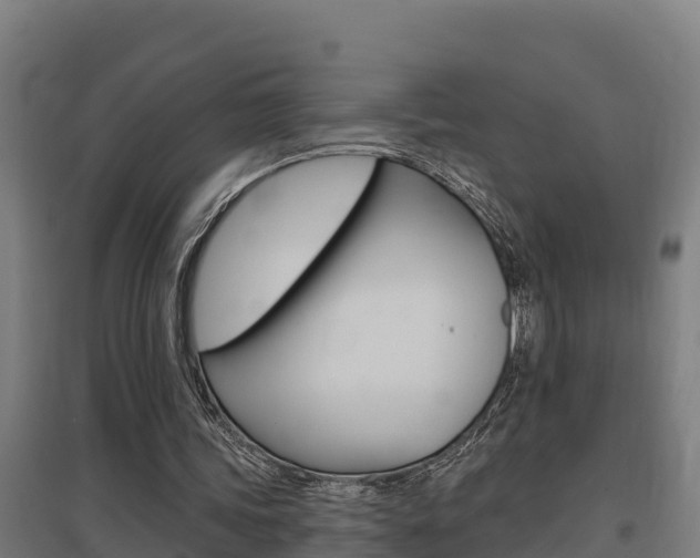 X0000097590339200802290754