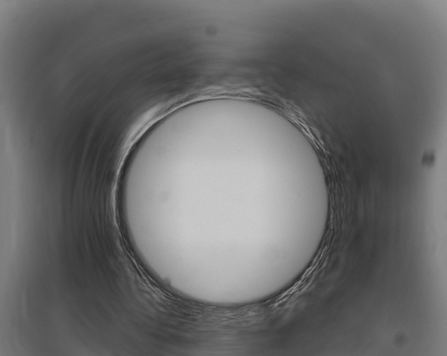 X0000097590340200802290754
