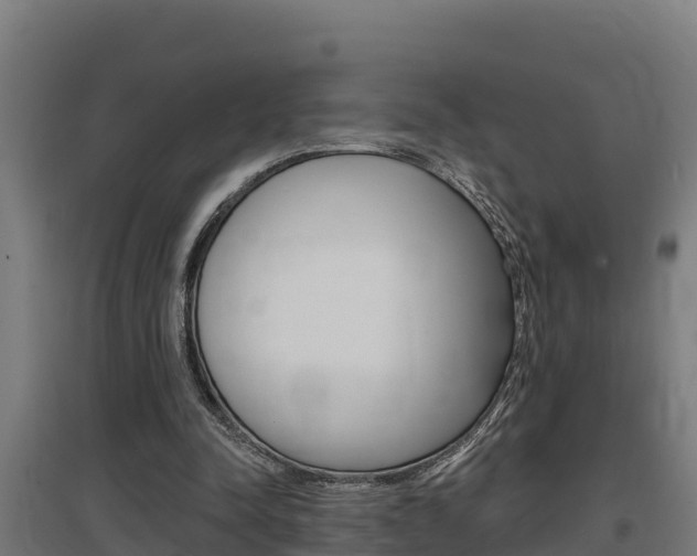 X0000097590342200802290754