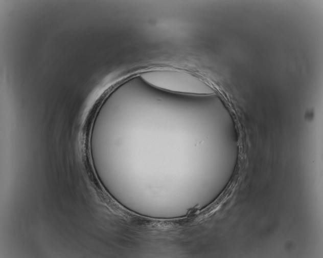 X0000097590343200802290754
