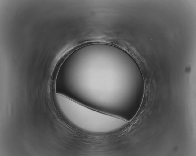 X0000097590344200802290754