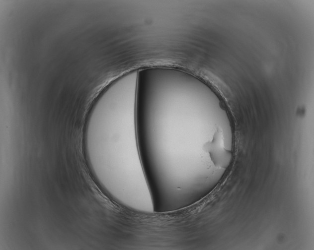 X0000097590345200802290754