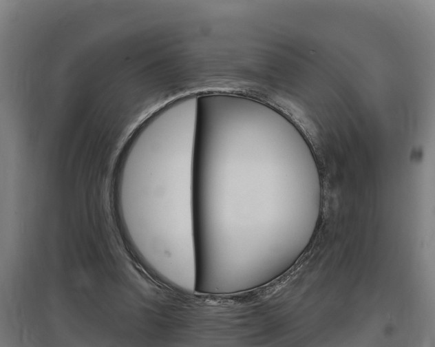 X0000097590346200802290754