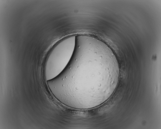 X0000097590347200802290754