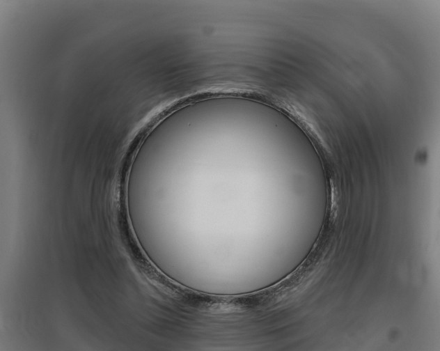 X0000097590348200802290754