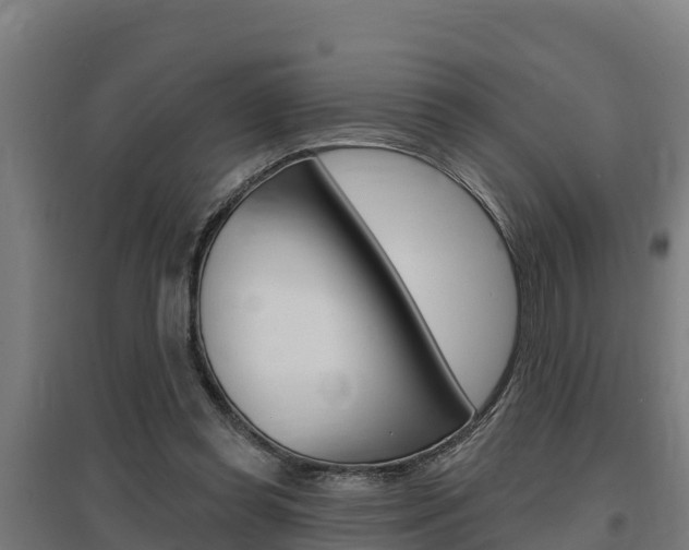 X0000097590349200802290754
