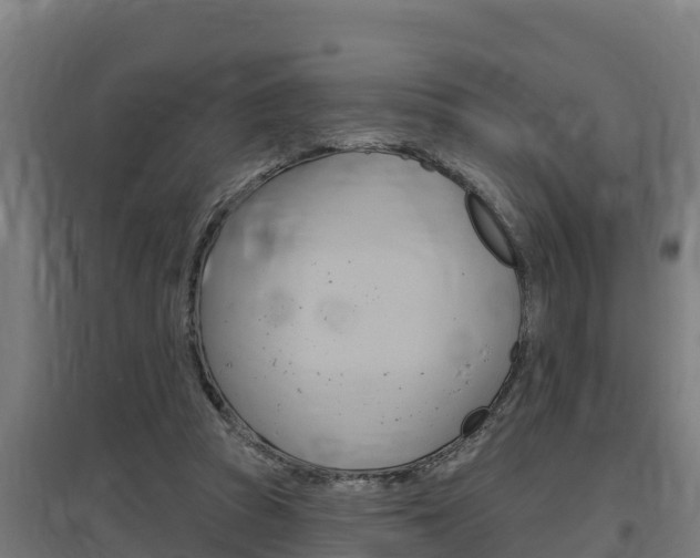 X0000097590353200802290754