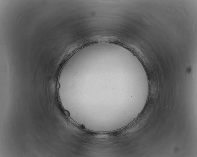 X0000097590357200802290754