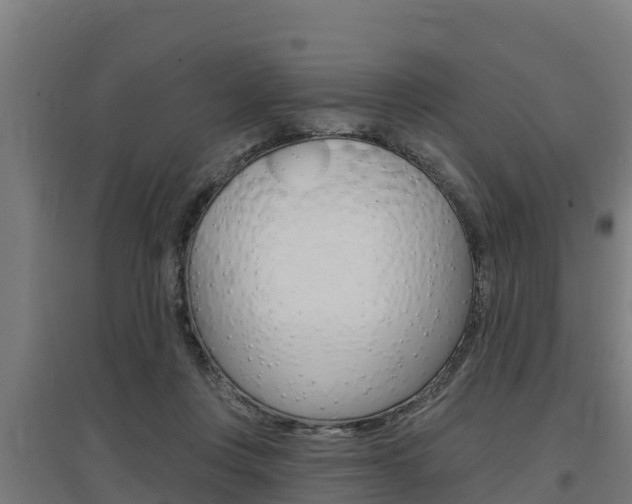 X0000097590359200802290754